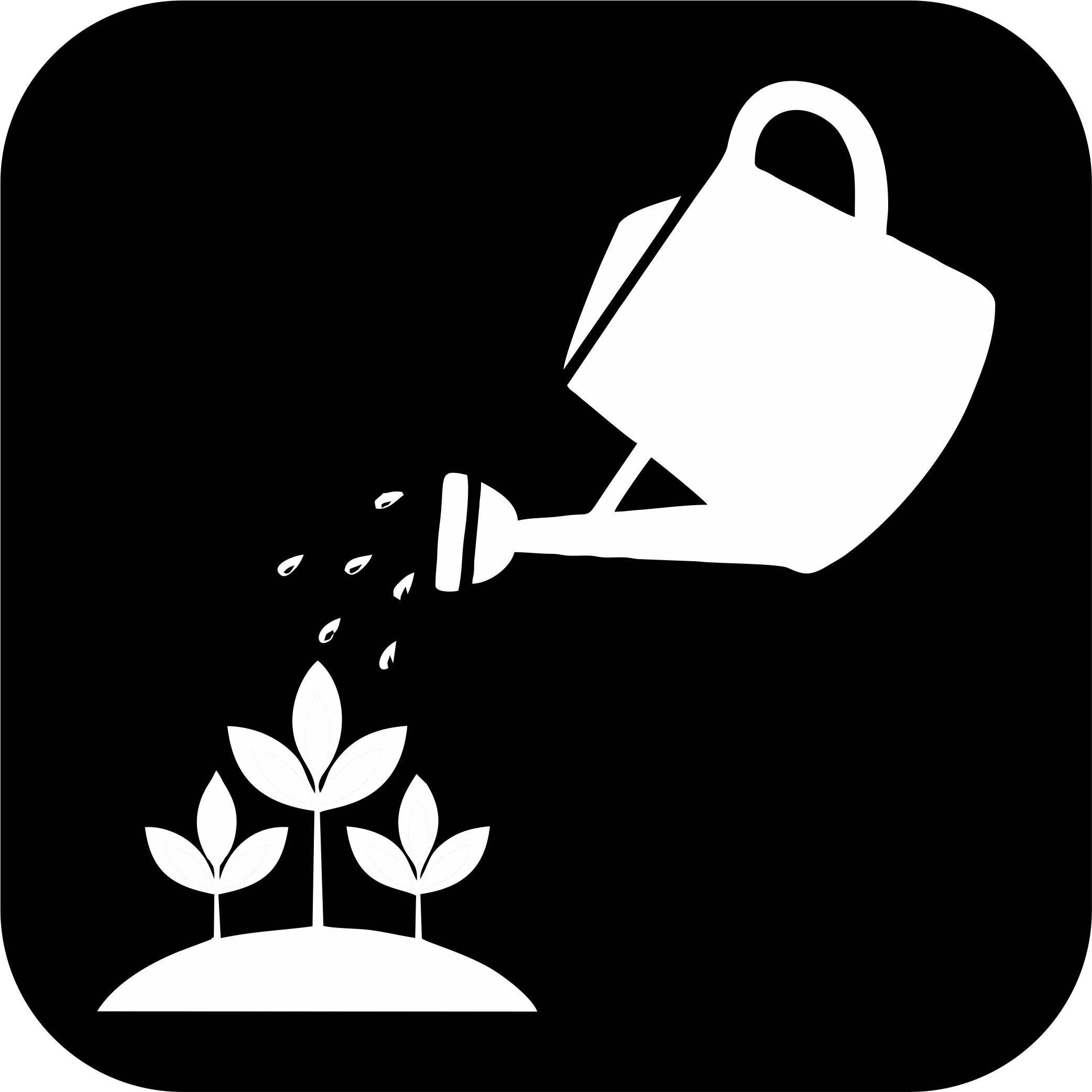 Collection logo